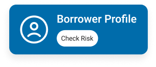 Borrower risk profiling